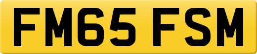 FM65FSM